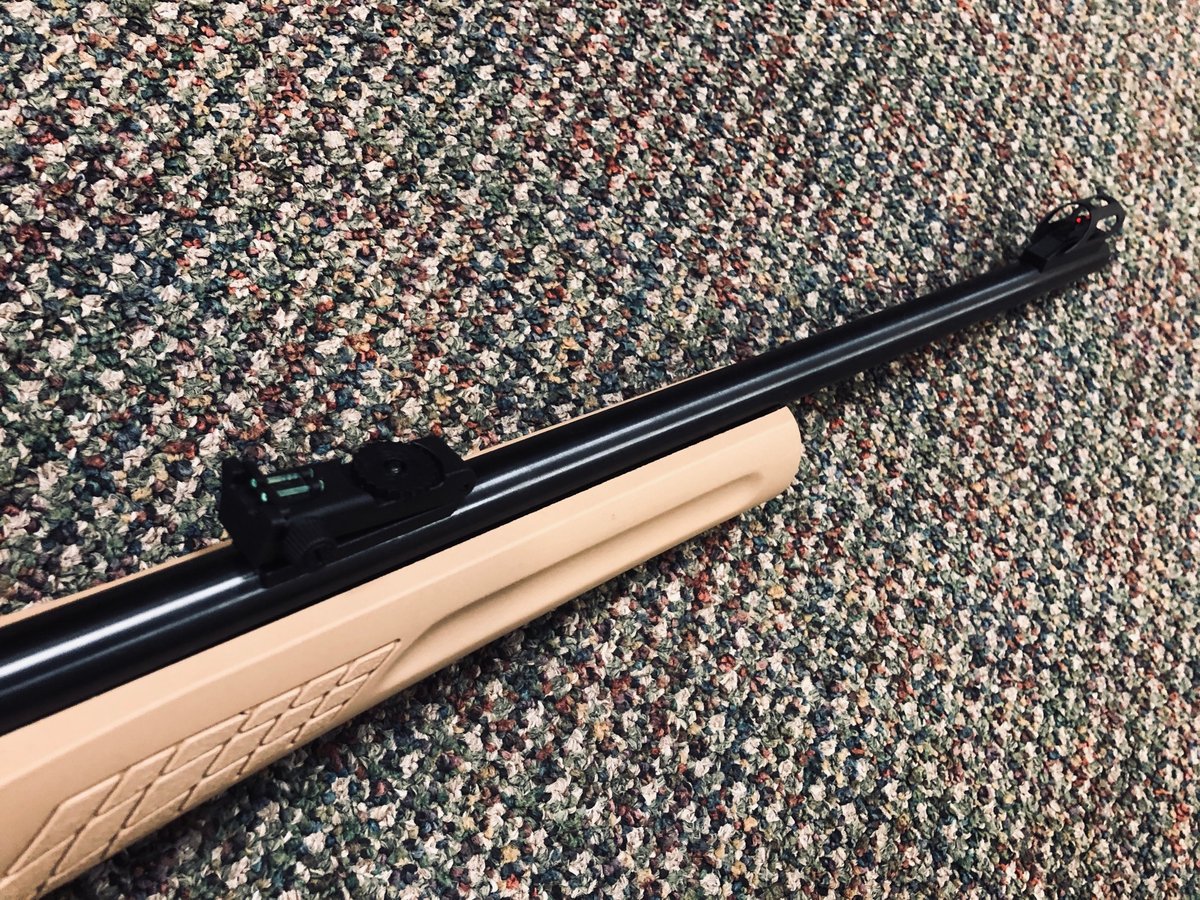 Rossi Rs22 For Sale Guns