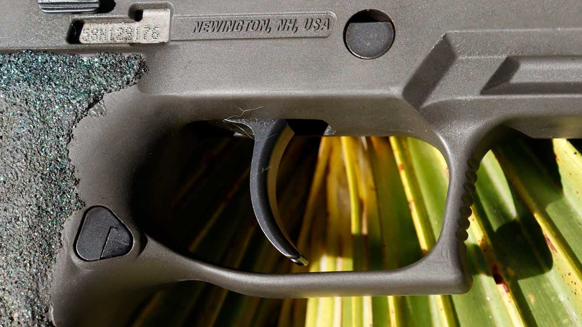 p320 shown in smaller hands