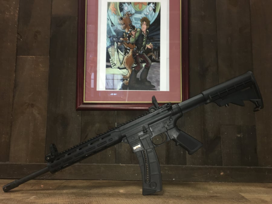 Smith And Wesson M&p 1522 Sport With Mlok Handguard (magpul Flip Up