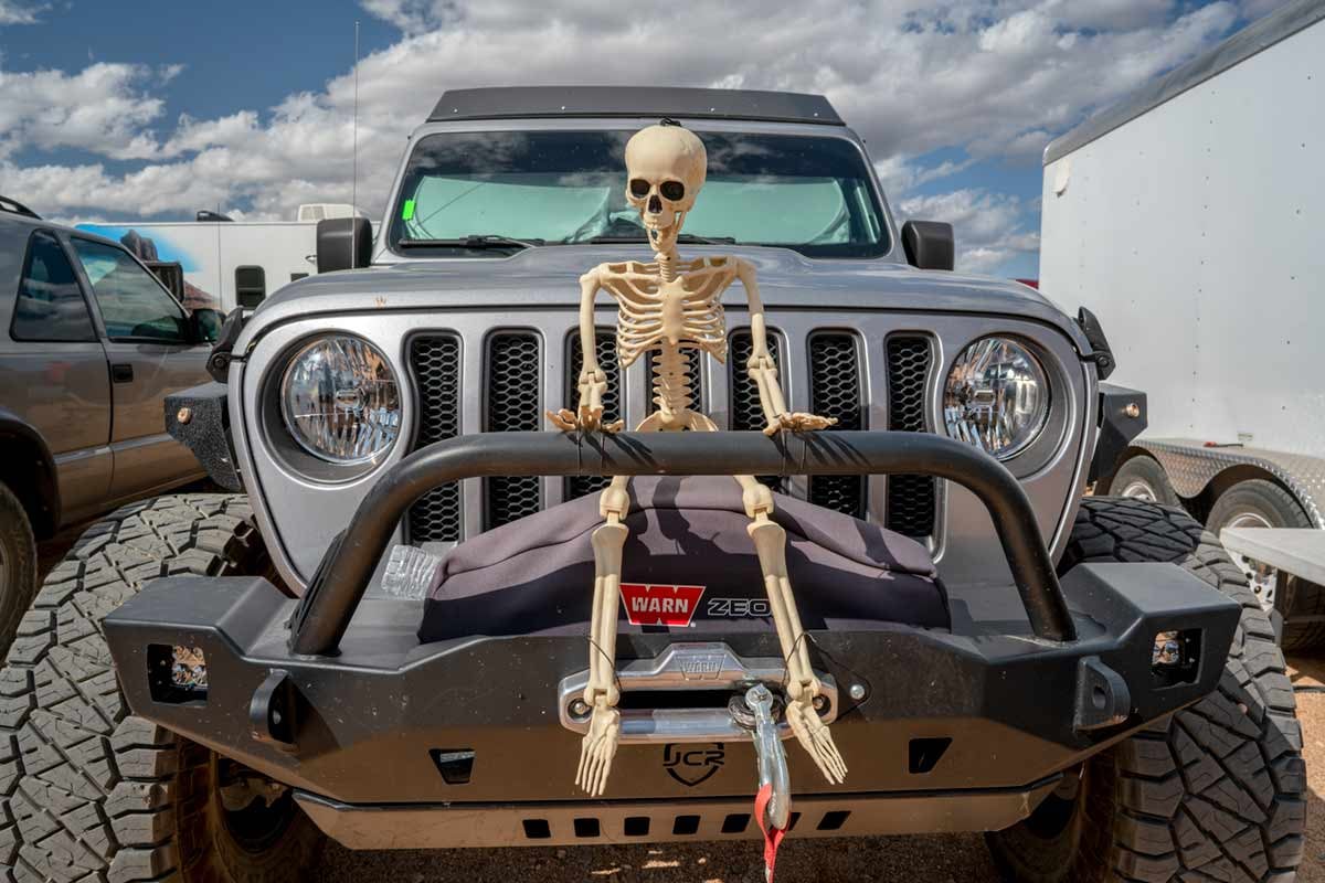 skeleton