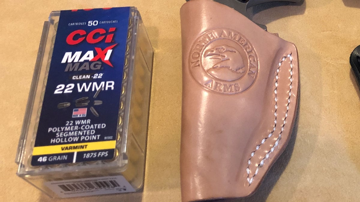 CCI Maxi Mag Clean-22