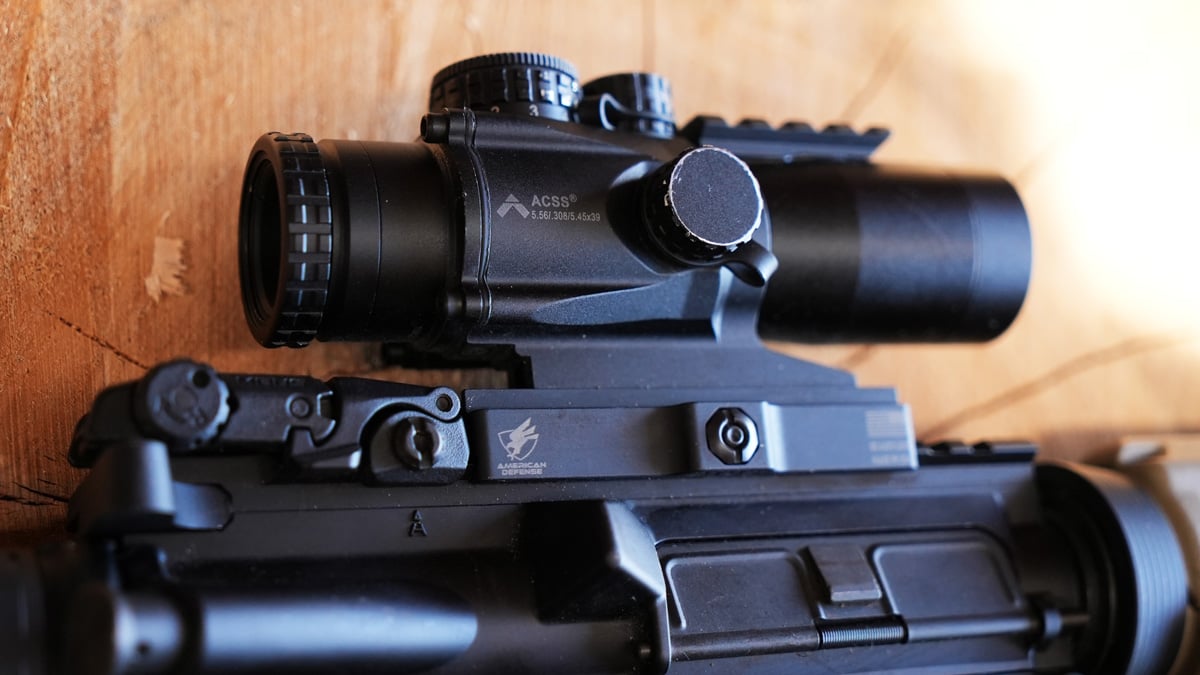 Del-Ton Echo 316 With Primary Arms ACSS