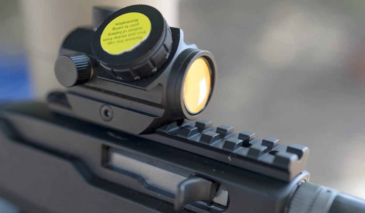 Red dot on a 10/22