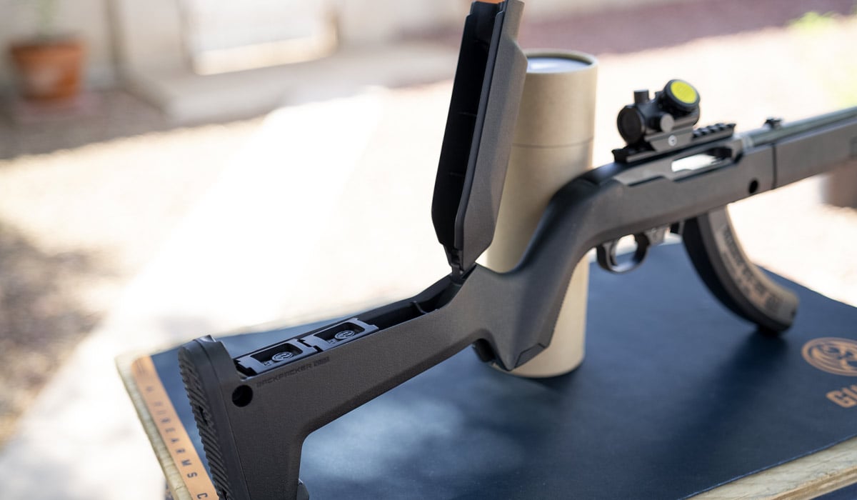 ruger 10/22 takedown .22lr plinker rimfire rifle
