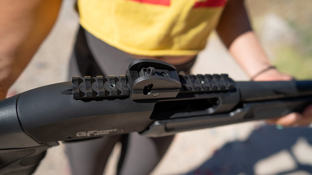 GF3T rear sight