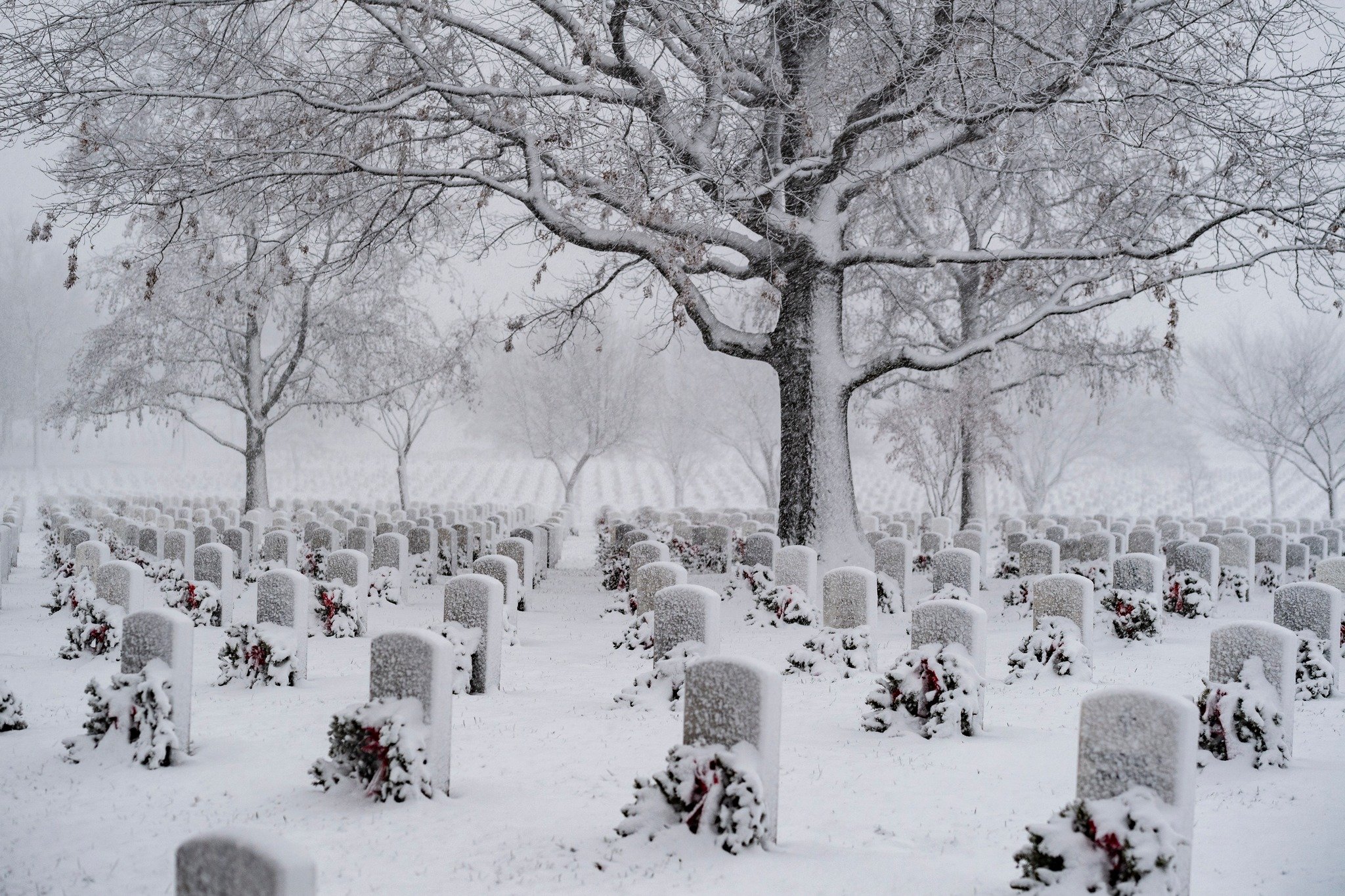 Arlington National Cemetery in heavy snowfall, January 2022