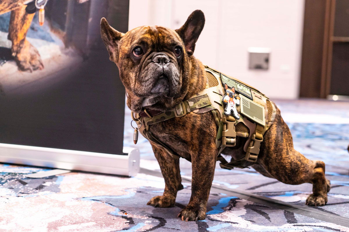 Dark Storm Norm the Dog King at Shot Show