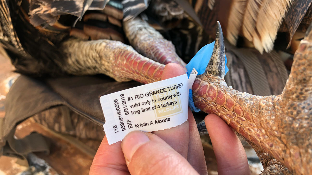 rio grande turkey tag