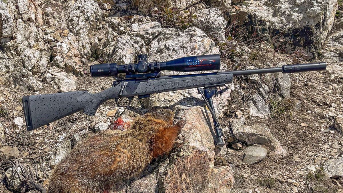 Bergara .22 LR rifle with marmot