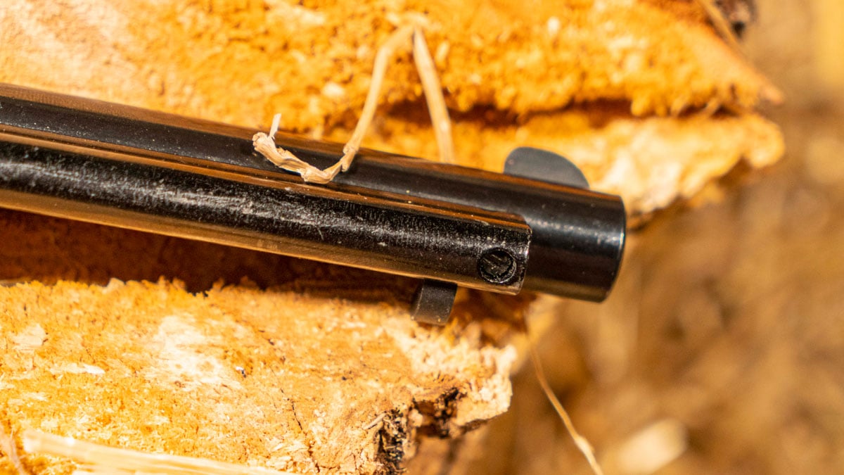 Heritage Rough Rider .22 Revolver