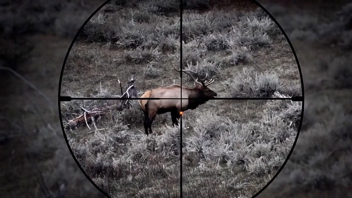 Sig Sauer BDX Reticle