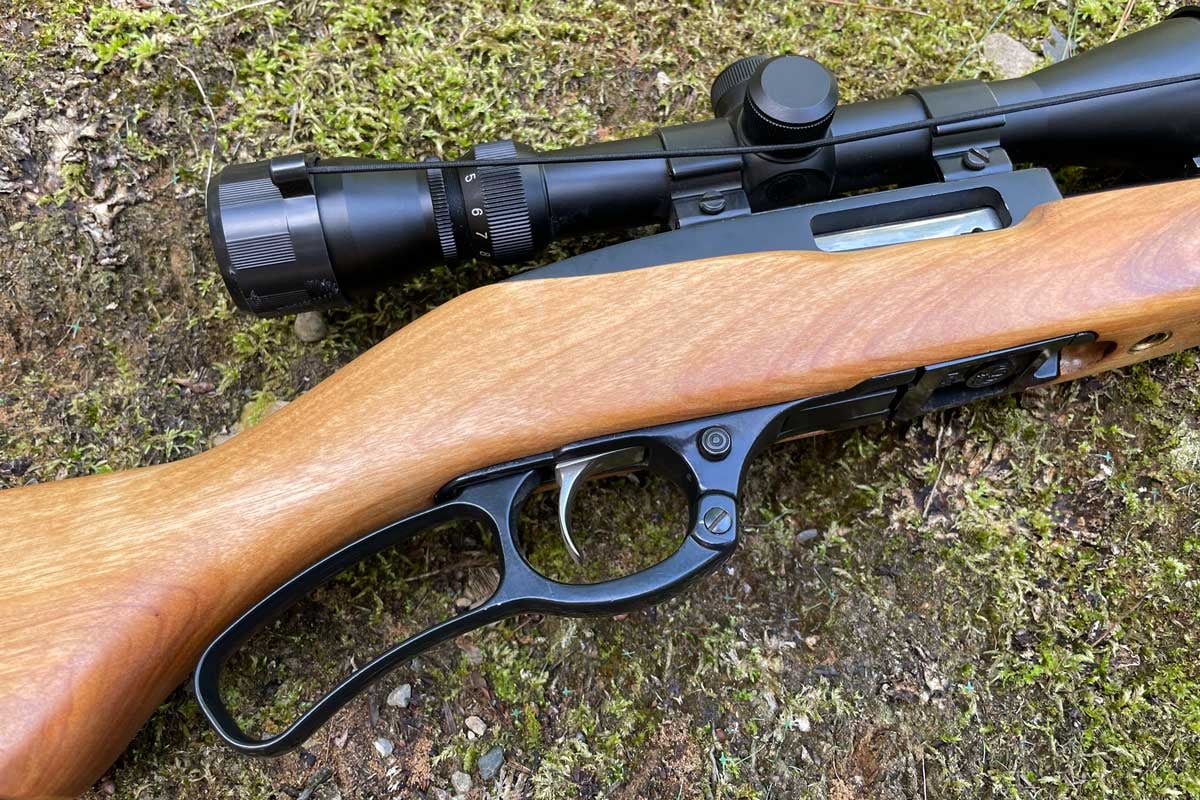 Ruger Ninety-Six