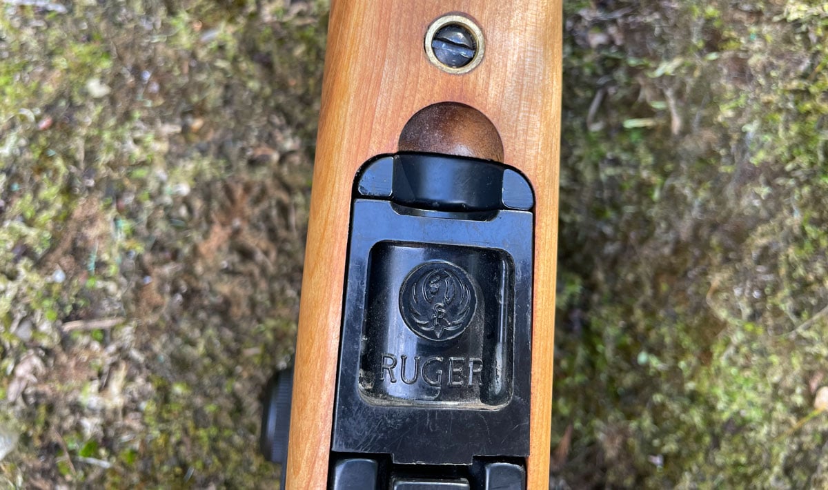 Ruger Ninety-Six