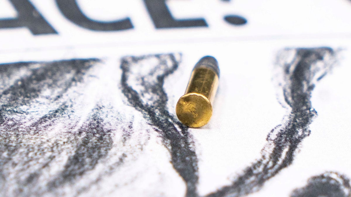 Smith & Wesson SW22 Victory .22 LR Pistol