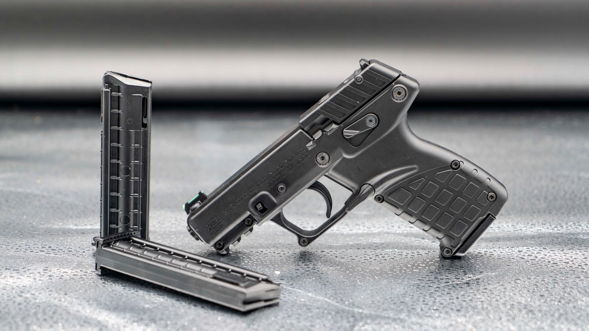 KelTec P17 .22 LR Pistol