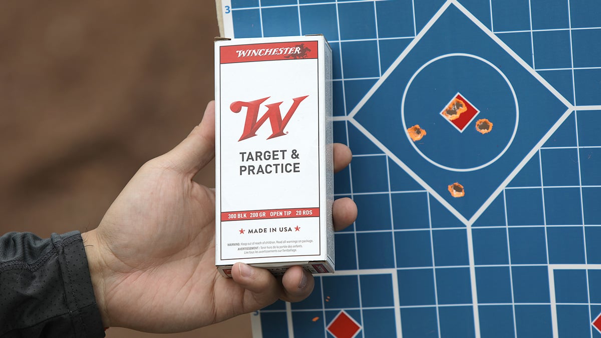 Target with .300 BLK ammo