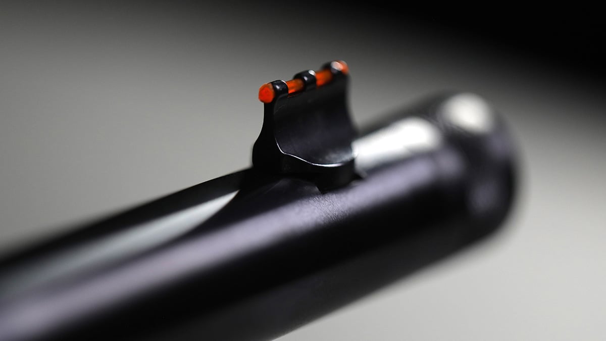 Chiappa 1886 lever action takedown rifle