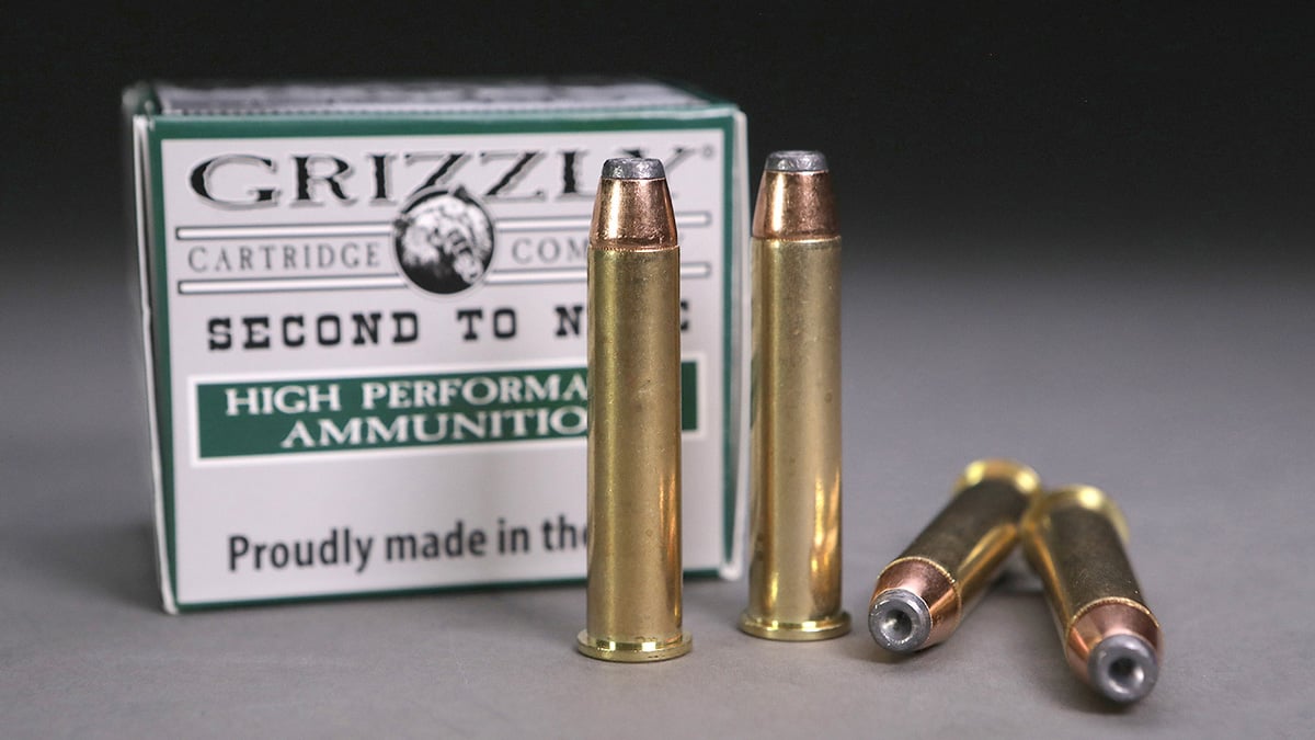.45-70 Government ammo