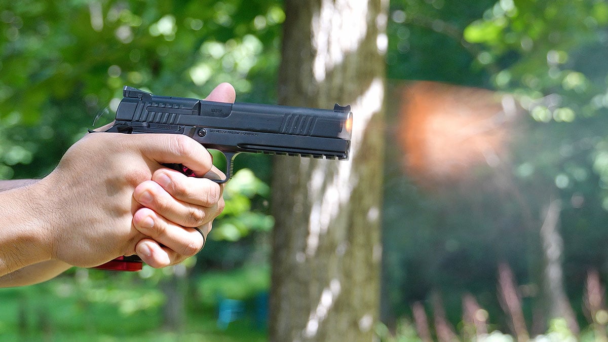 Dan Wesson DWX 9mm pistol