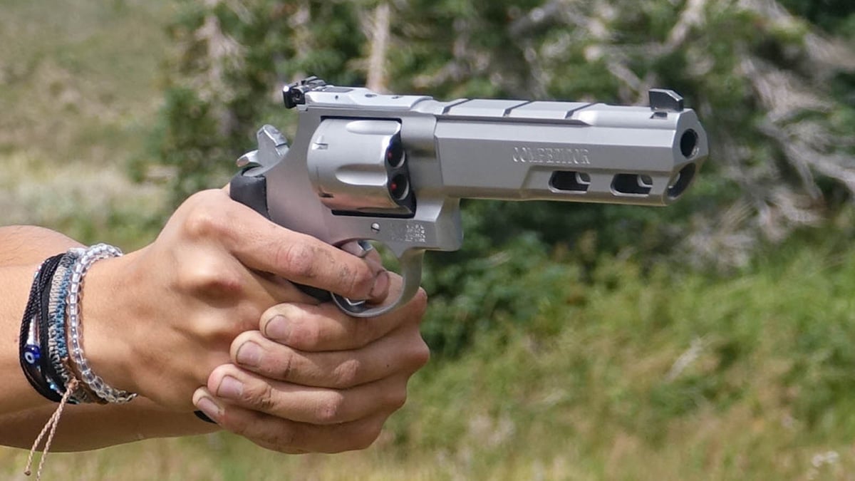 Smith & Wesson 629 Competitor Revolver Review