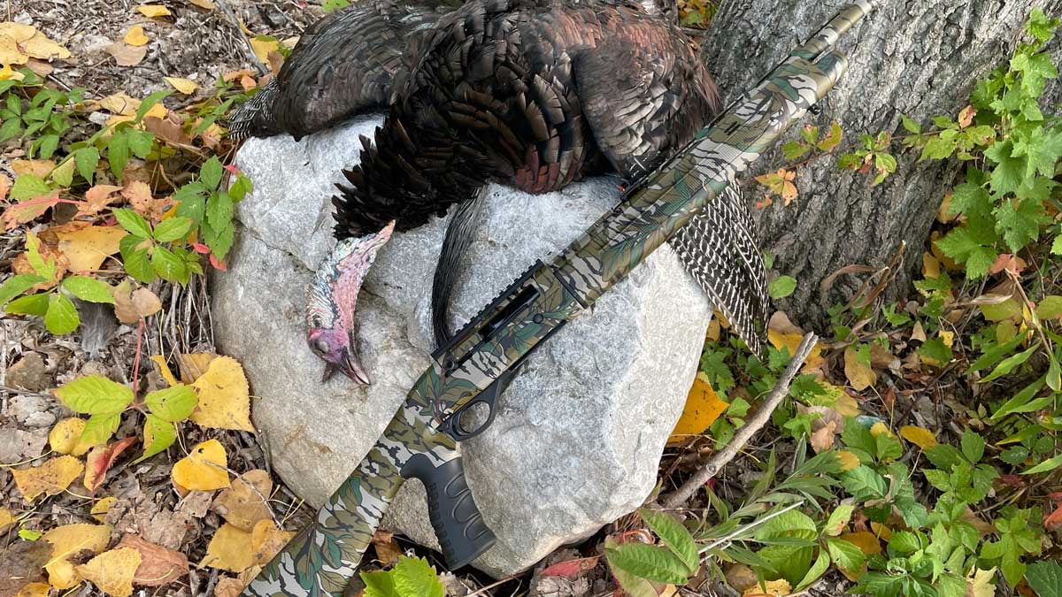 Mossberg SA-28 Tactical Turkey shotgun with turkey