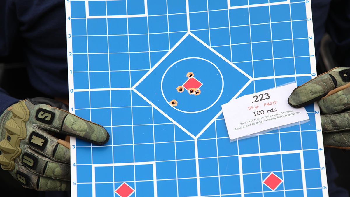 target shot with .223 Rem/5.56 NATO