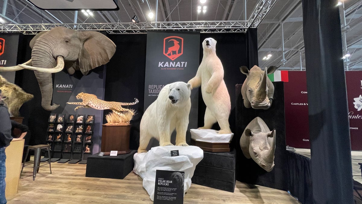 Kanati taxidermy replicas