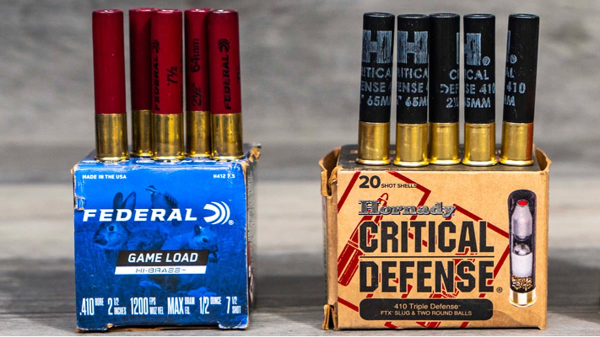 .410 Ammo