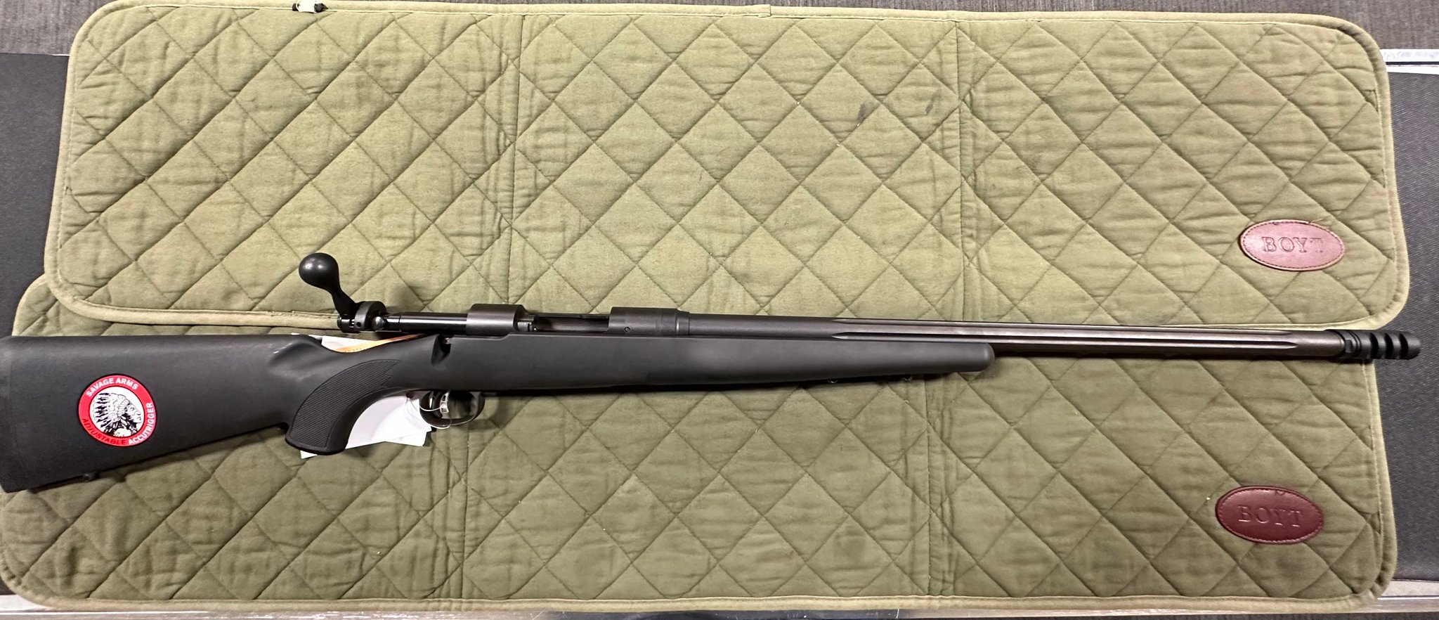 SAVAGE ARMS 10