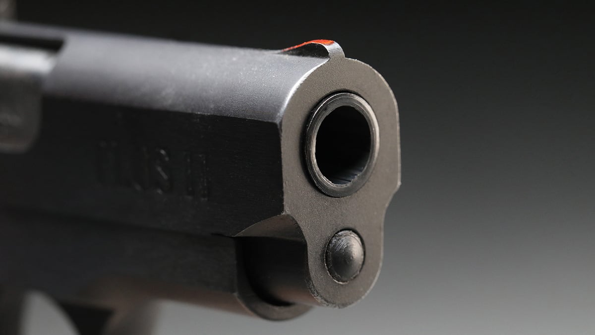 Colt Mustang Plus II