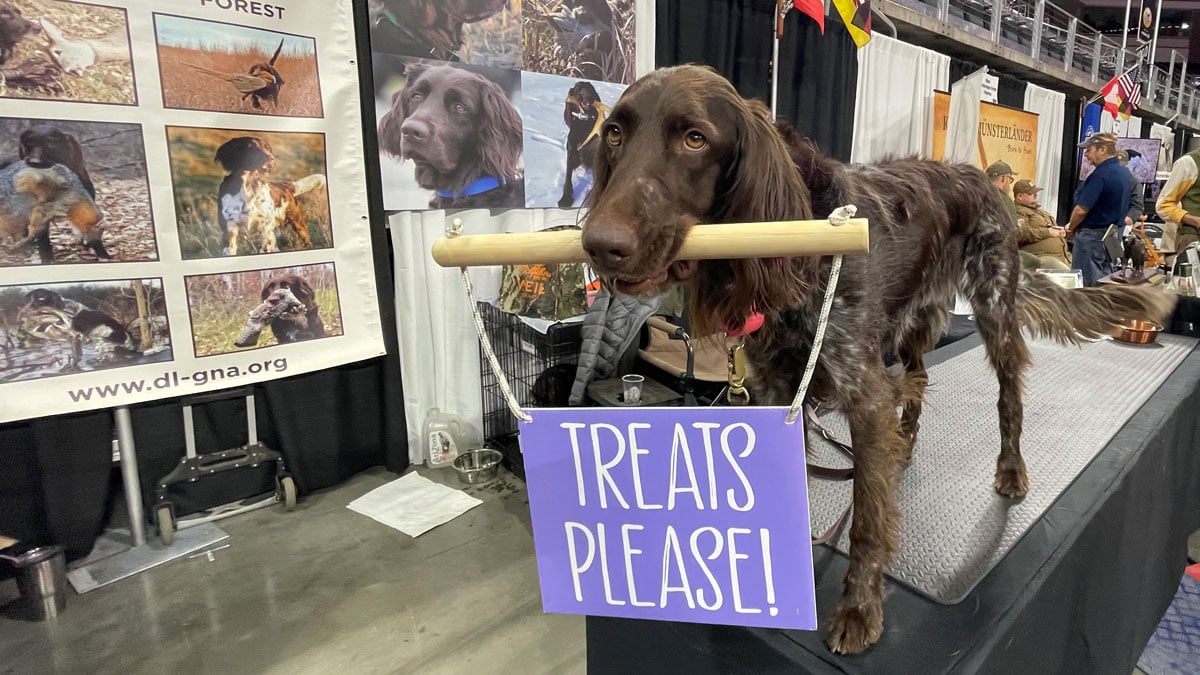 hunting dog with Treats Please sign