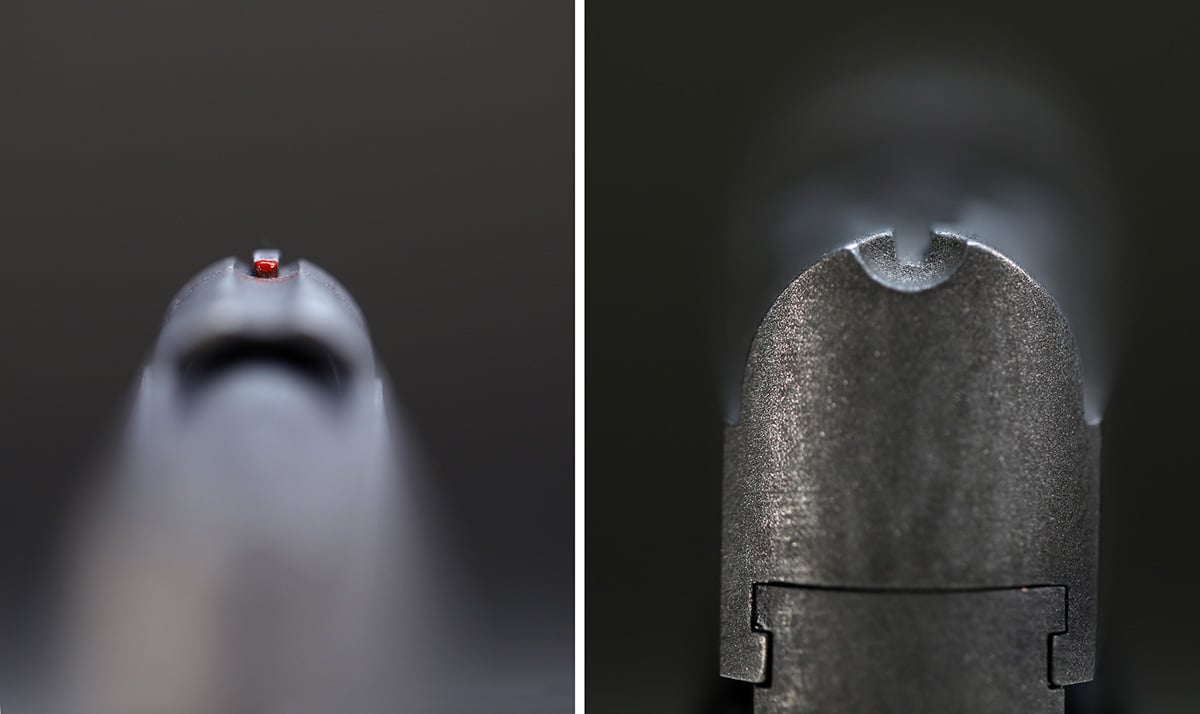 sights on AMT Backup
