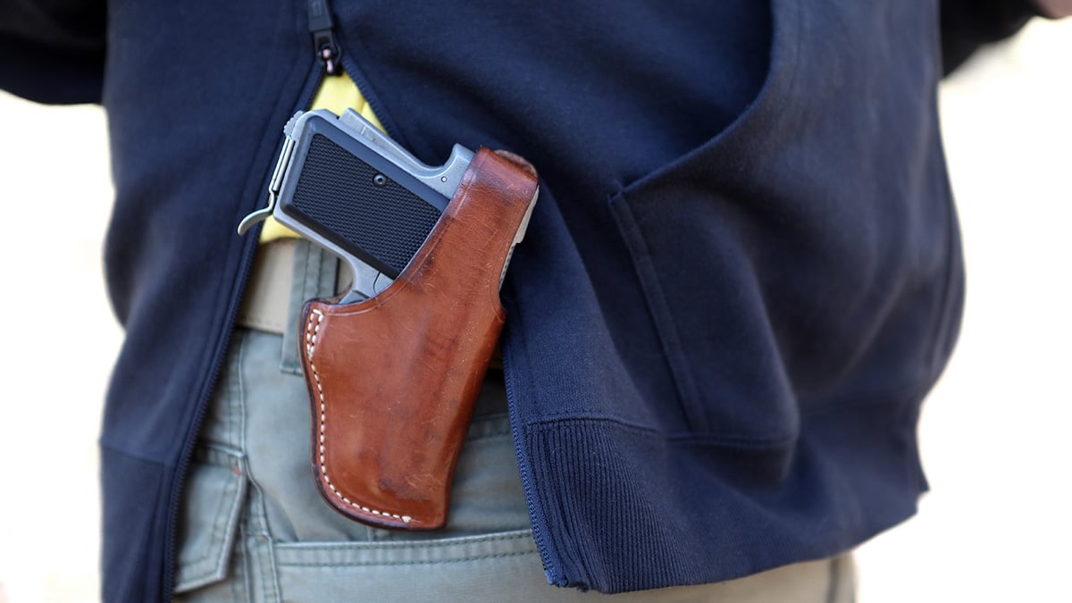 AMT Backup 380 in holster