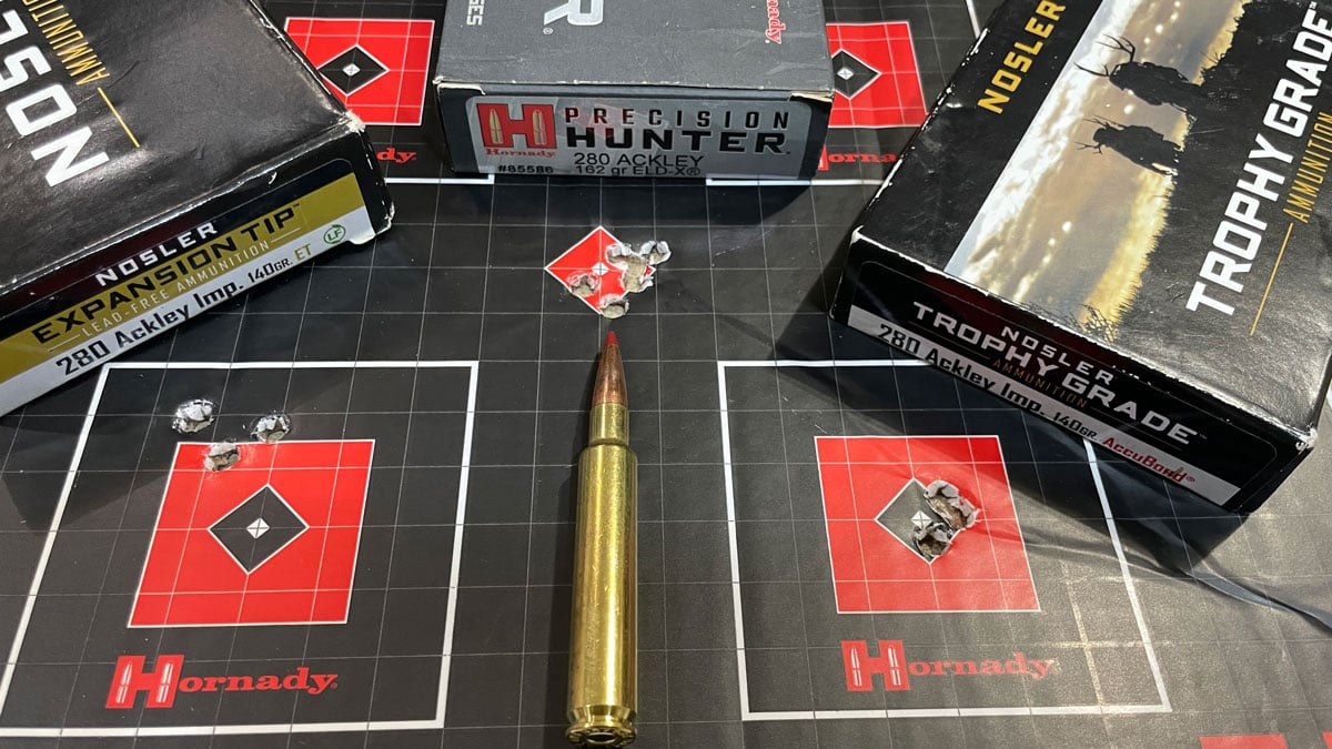 .280 AI cartridge with target