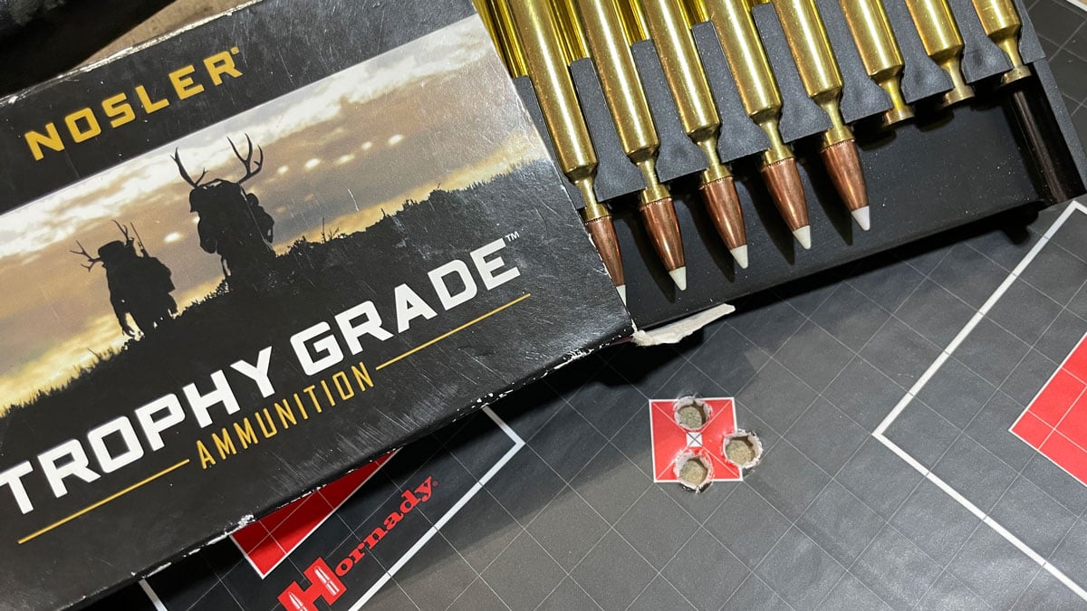 Nosler Accubond ammo with target