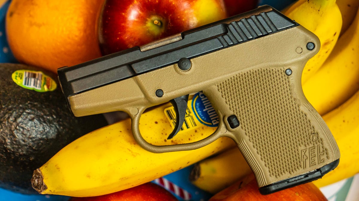 KelTec P32 .32 ACP Pistol