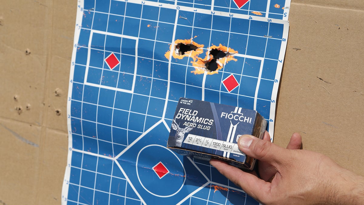 target with 12 gauge slugs