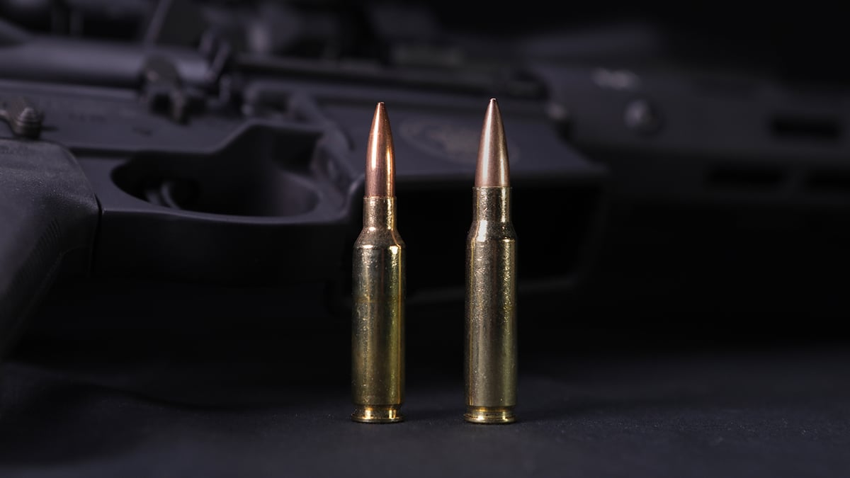 6.5 Creedmoor round vs .308 Winchester