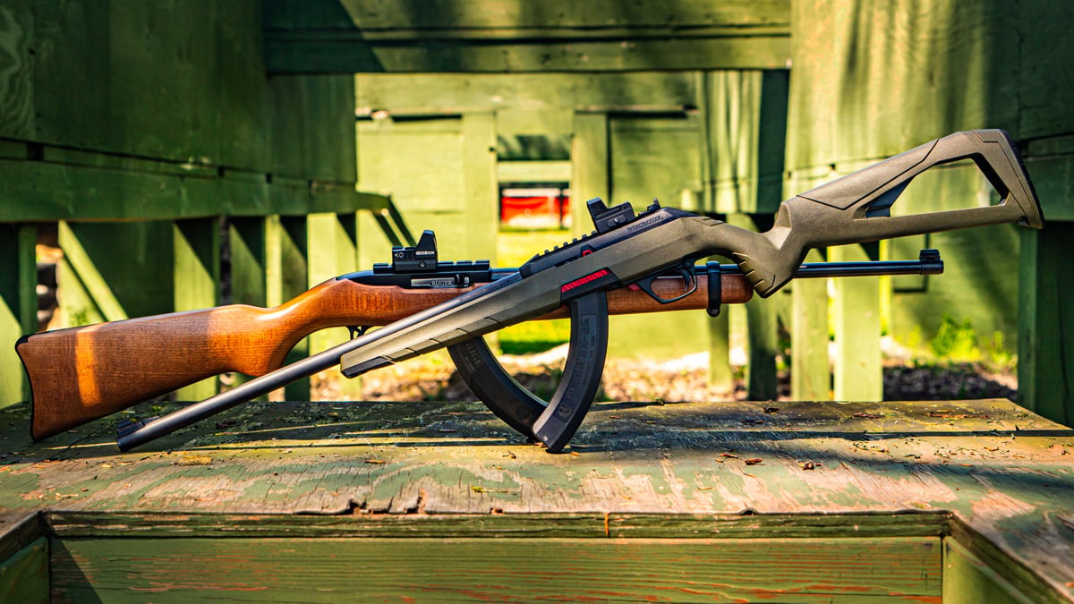 Ruger 10/22 and Winchester Wildcat rifles