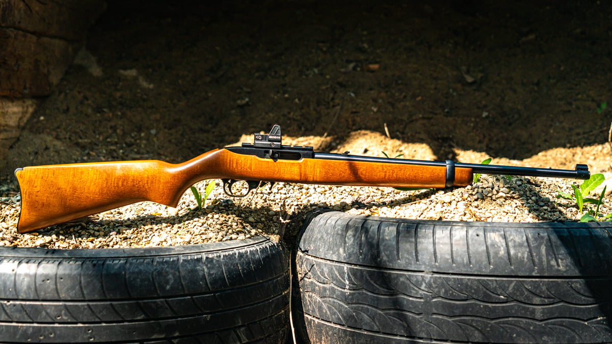 Ruger 10/22 Rifle