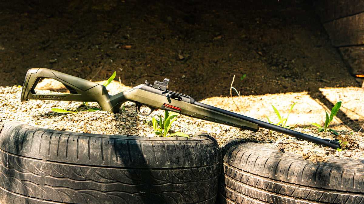 Winchester Wildcat Rifle