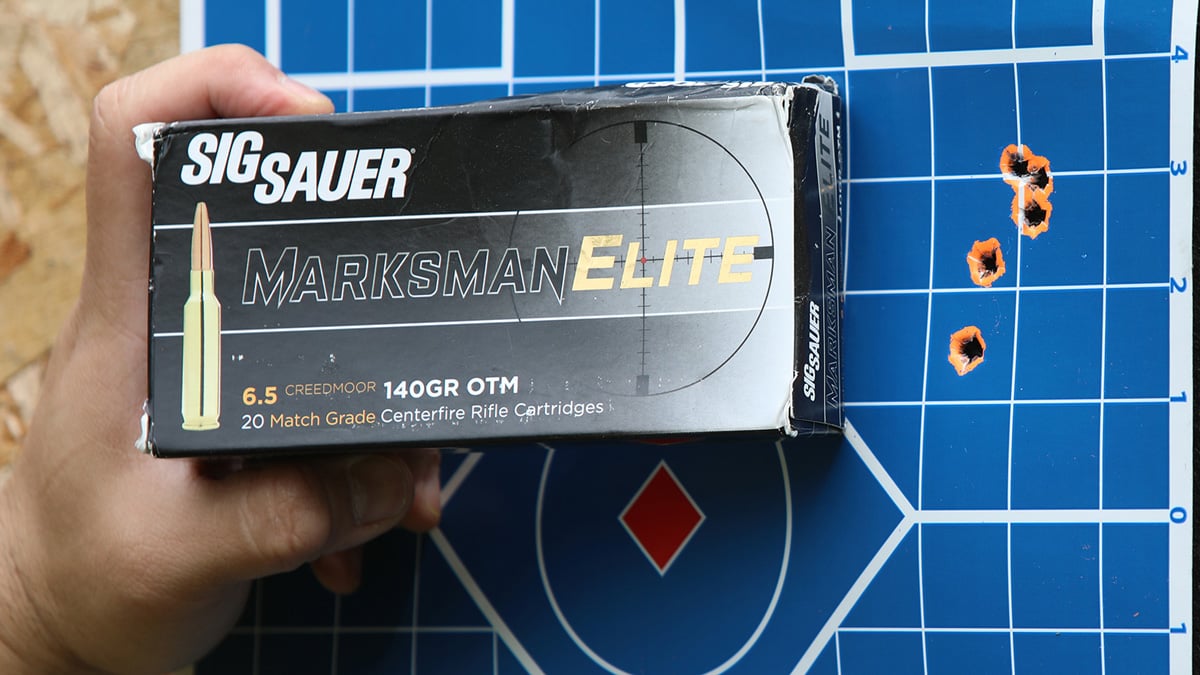 SIG ammo with target