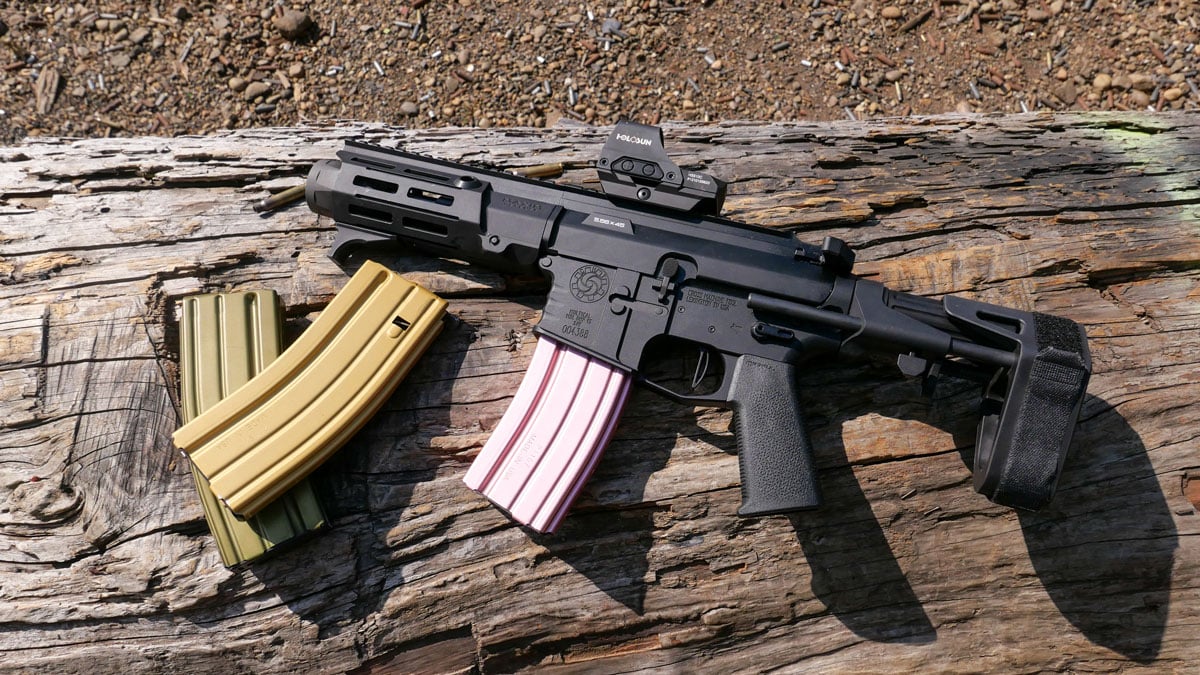 AR pistol with magazines