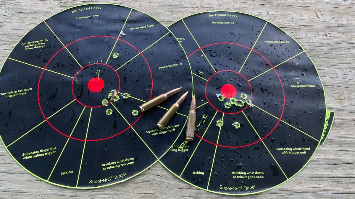 targets with .308 ammo