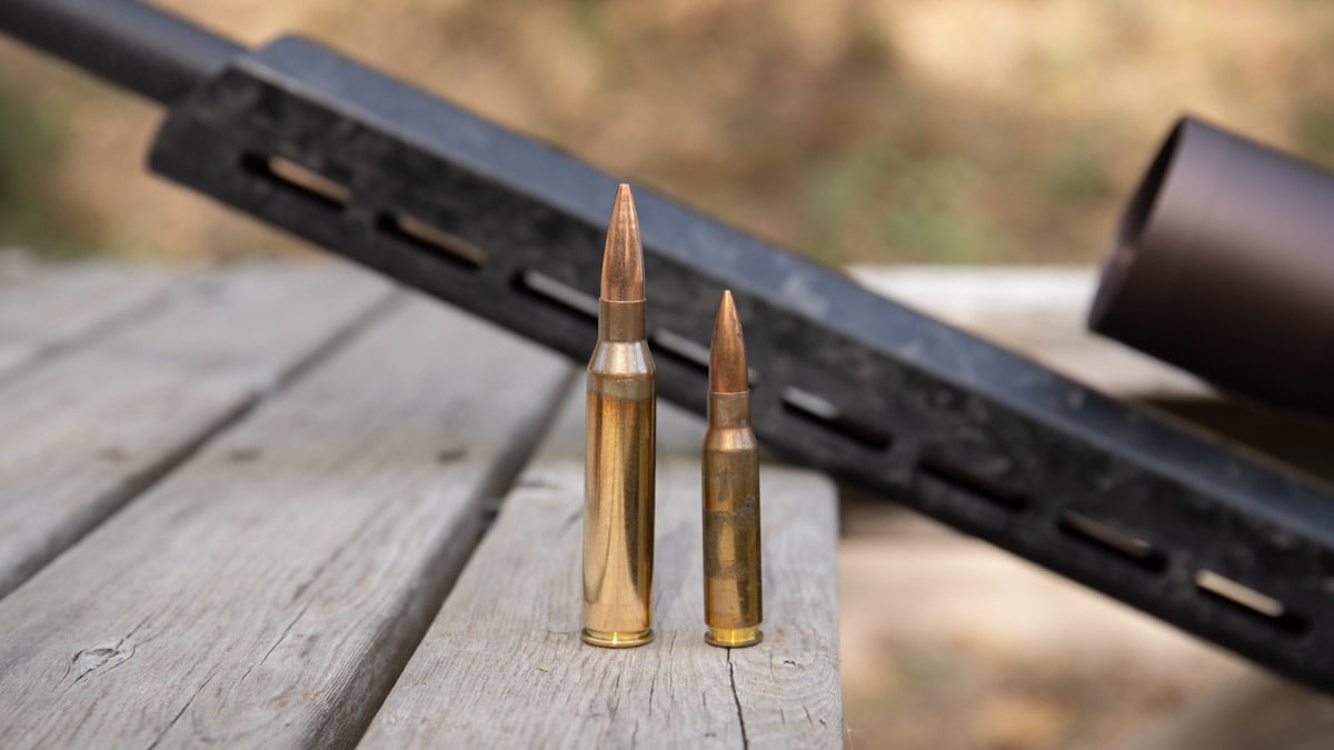 .338 Lapua Mag compared to 5.56 NATO