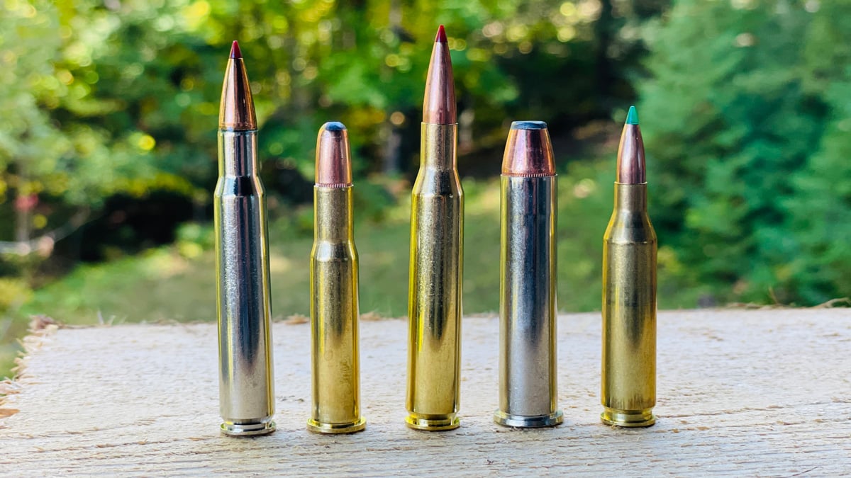 .30-06, .30-30, .270, .45-70, and .243 cartridges