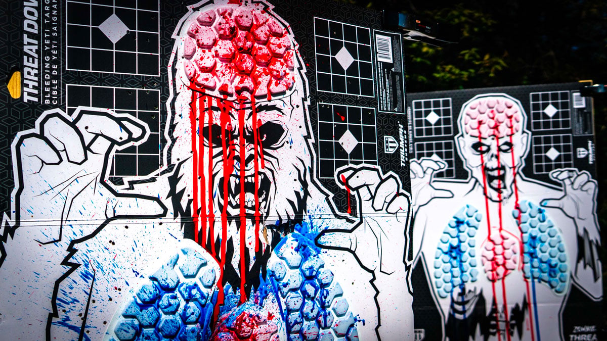 zombie targets