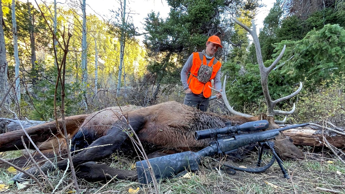 Bergara Premier Canyon with bull elk