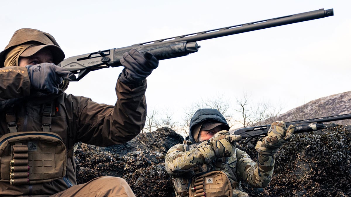 Weatherby Sorix