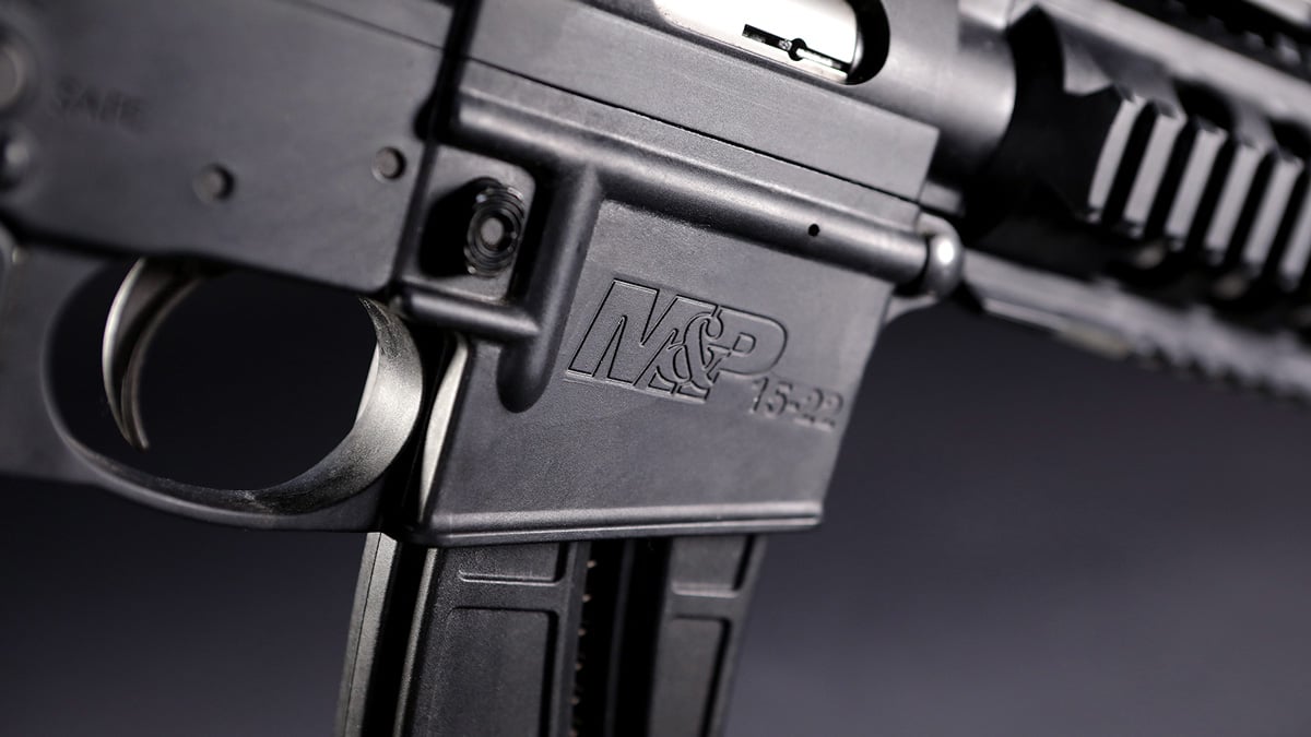 S&W M&P 15-22